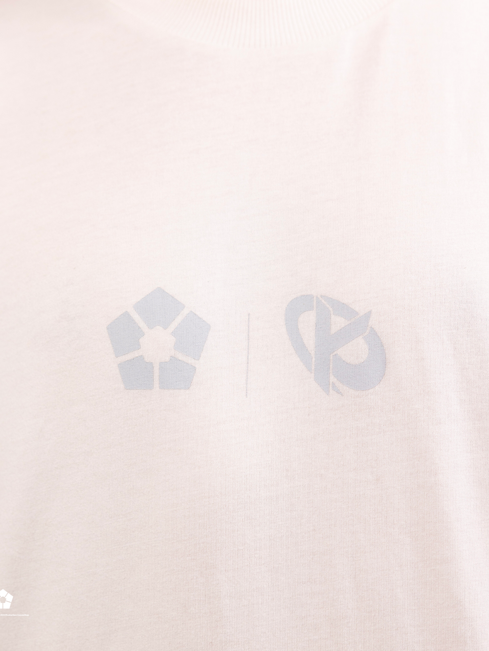 T-Shirt Gris Karmine | Blue Lock