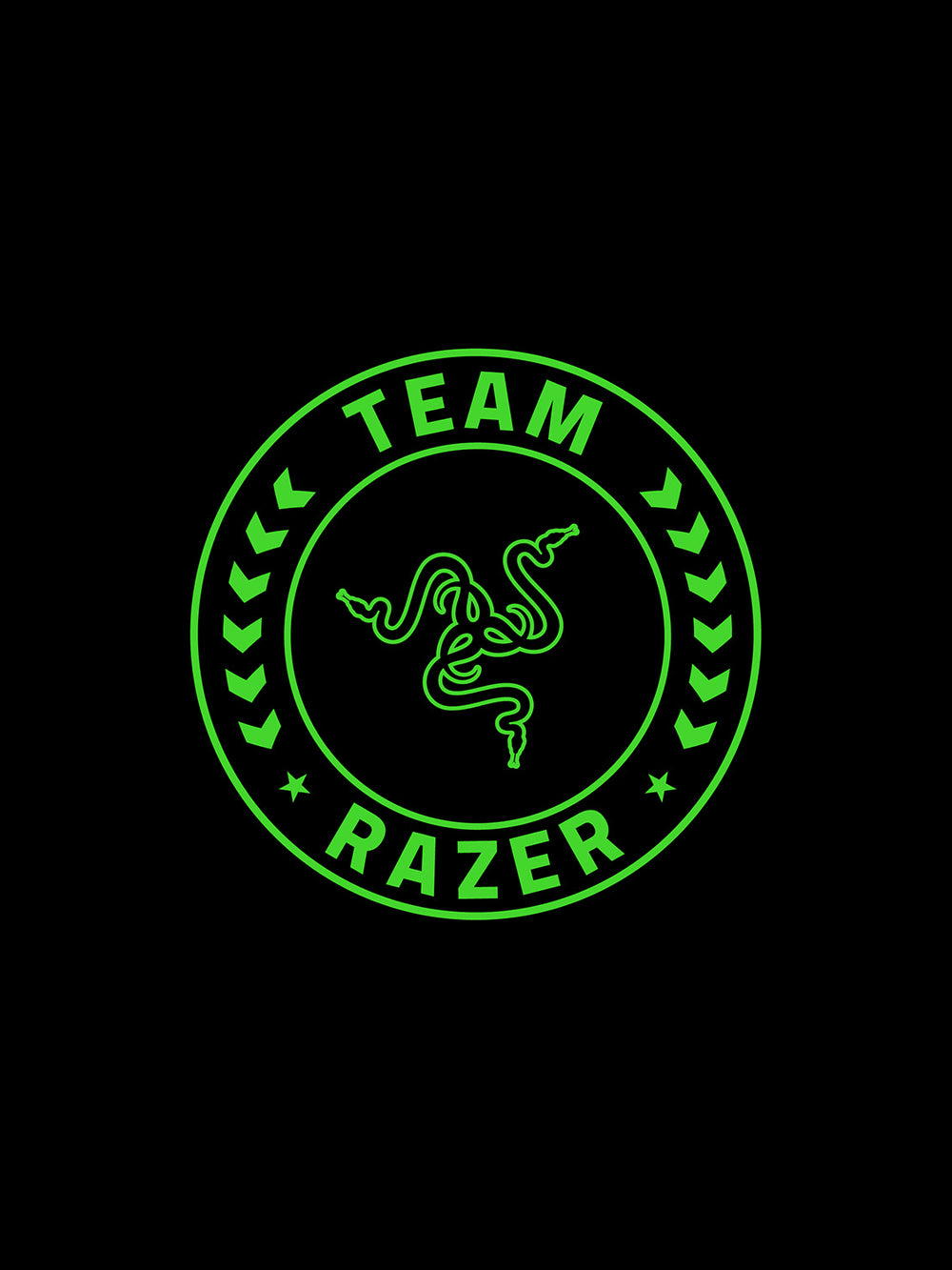TEAM RAZER