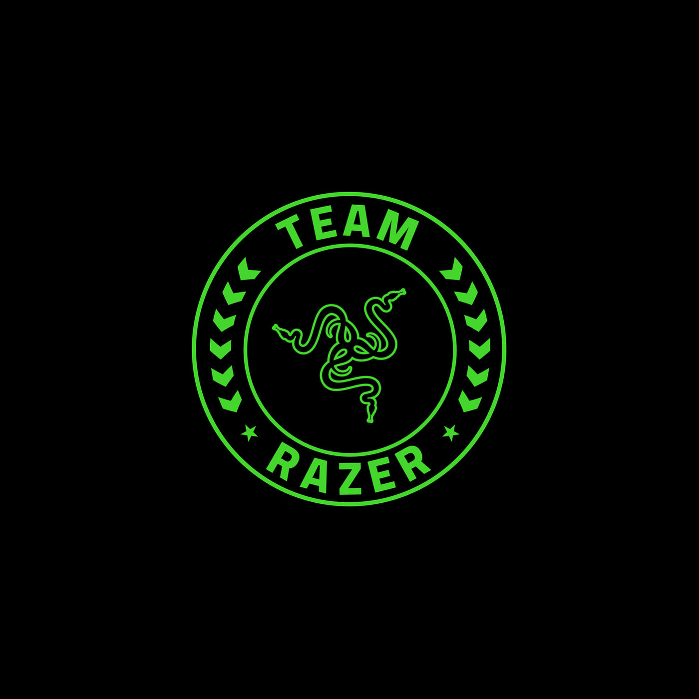TEAM RAZER